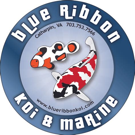 blue ribbon koi & marine|More.